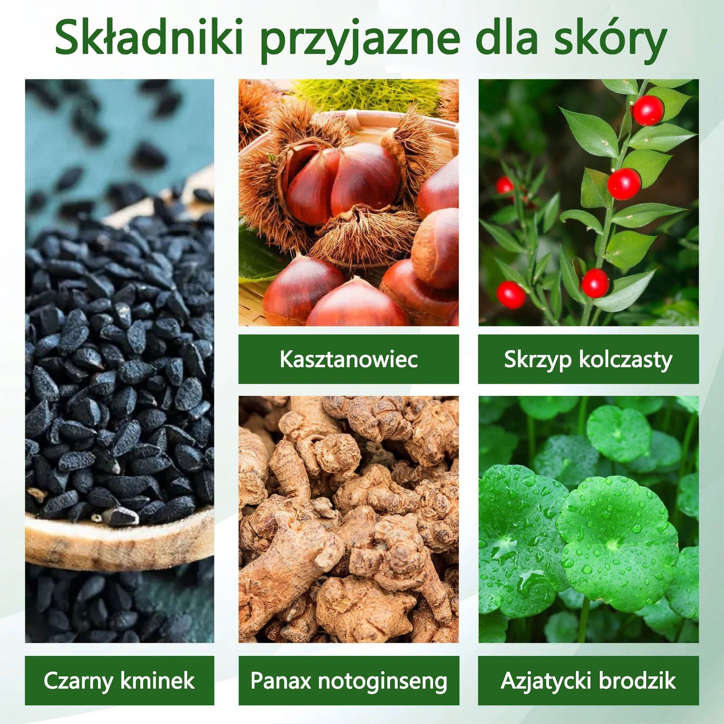 🌿🌿🌿Dorina® Krem ziołowy łagodzący obrzęki z czarnuszką