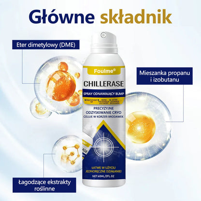 🔥Foulme® ChillErase Spray odnawiający skórę❄️